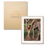 Steve McCurry. Animals. Art Edition No. 1–100 ‘Chiang Mai, Thailand, 2010’